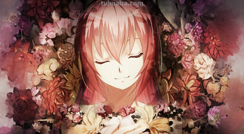 花たん 