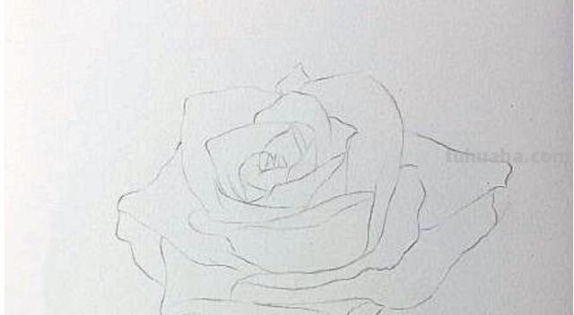 用彩铅画浪漫玫瑰怎么画 彩铅画玫瑰花教程？