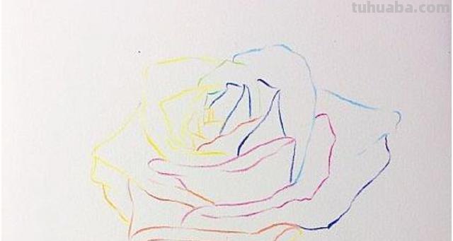 用彩铅画浪漫玫瑰怎么画 彩铅画玫瑰花教程？