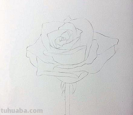 用彩铅画浪漫玫瑰怎么画 彩铅画玫瑰花教程？