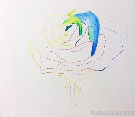 用彩铅画浪漫玫瑰怎么画 彩铅画玫瑰花教程？