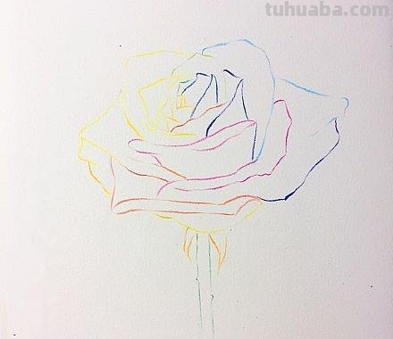用彩铅画浪漫玫瑰怎么画 彩铅画玫瑰花教程？