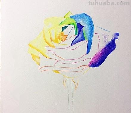 用彩铅画浪漫玫瑰怎么画 彩铅画玫瑰花教程？