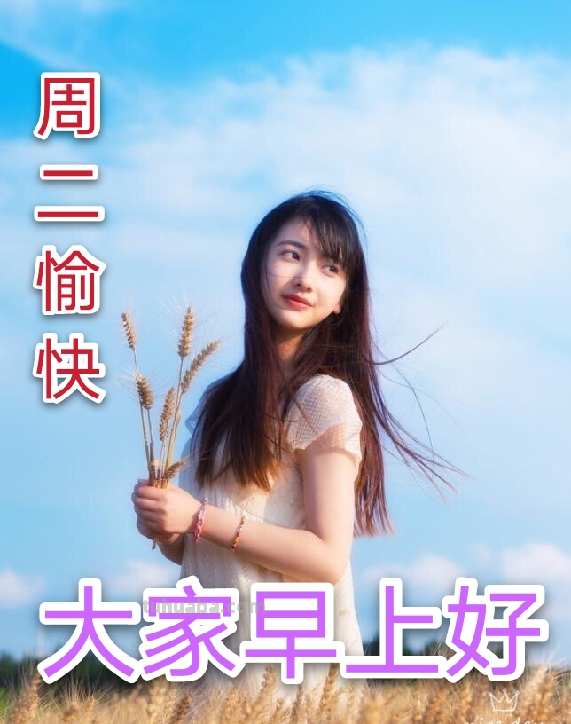创意唯美的早上好动画祝福图片 好看的免打字聊天的早安问候图片