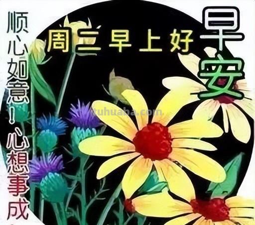 创意唯美的早上好动画祝福图片 好看的免打字聊天的早安问候图片