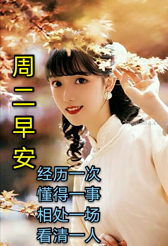 创意唯美的早上好动画祝福图片 好看的免打字聊天的早安问候图片