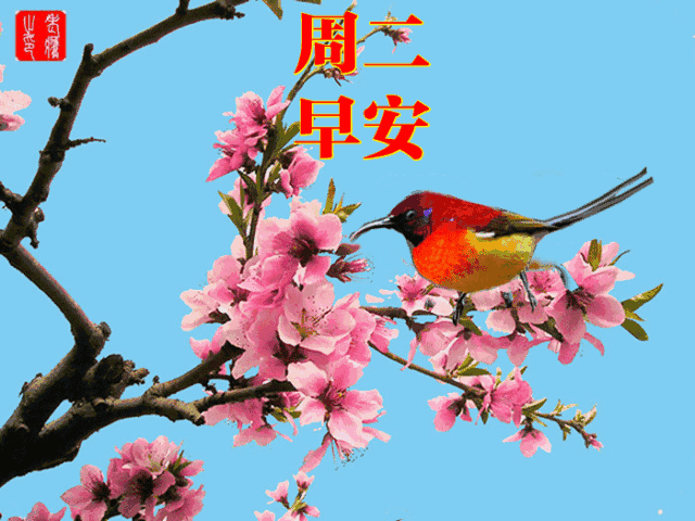 创意唯美的早上好动画祝福图片 好看的免打字聊天的早安问候图片