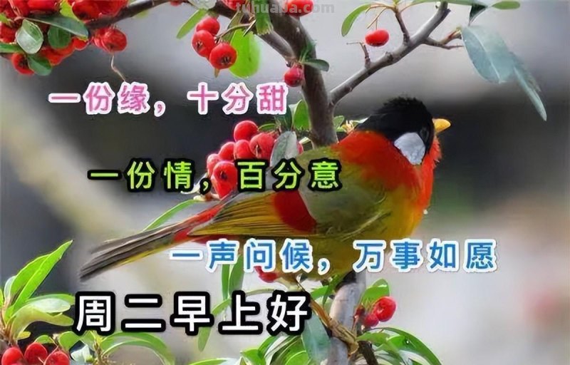 创意唯美的早上好动画祝福图片 好看的免打字聊天的早安问候图片