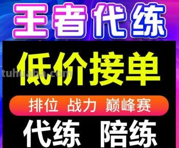 王者荣耀 王者荣耀代打
