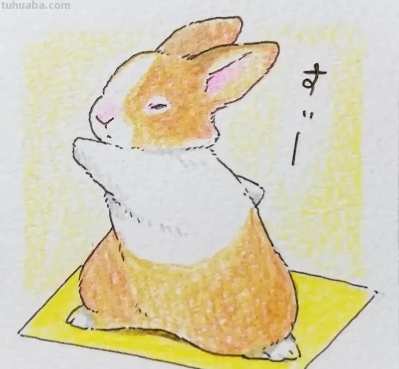 350张超Q的兔子简笔画，可爱得不要不要的~绝对够用一辈子了