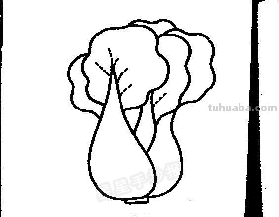 青菜怎么画简笔画图片 蔬菜画儿童画？