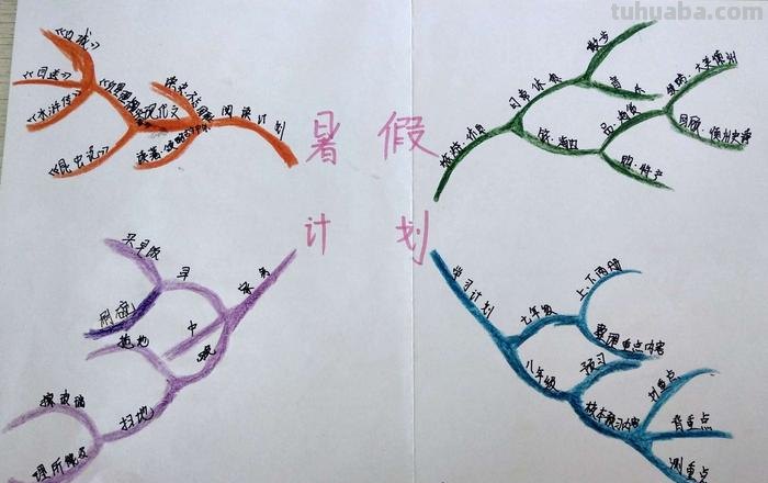 暑假心得思维导图怎么画 绘制思维导图有哪些注意事项?