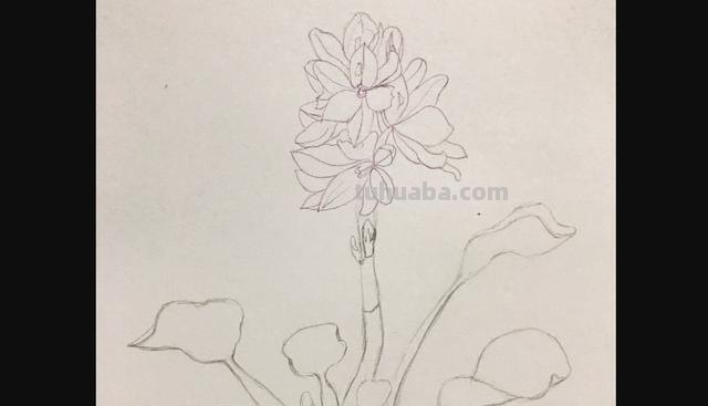 用彩铅画花深浅怎么画 4开纸荷花彩铅画？