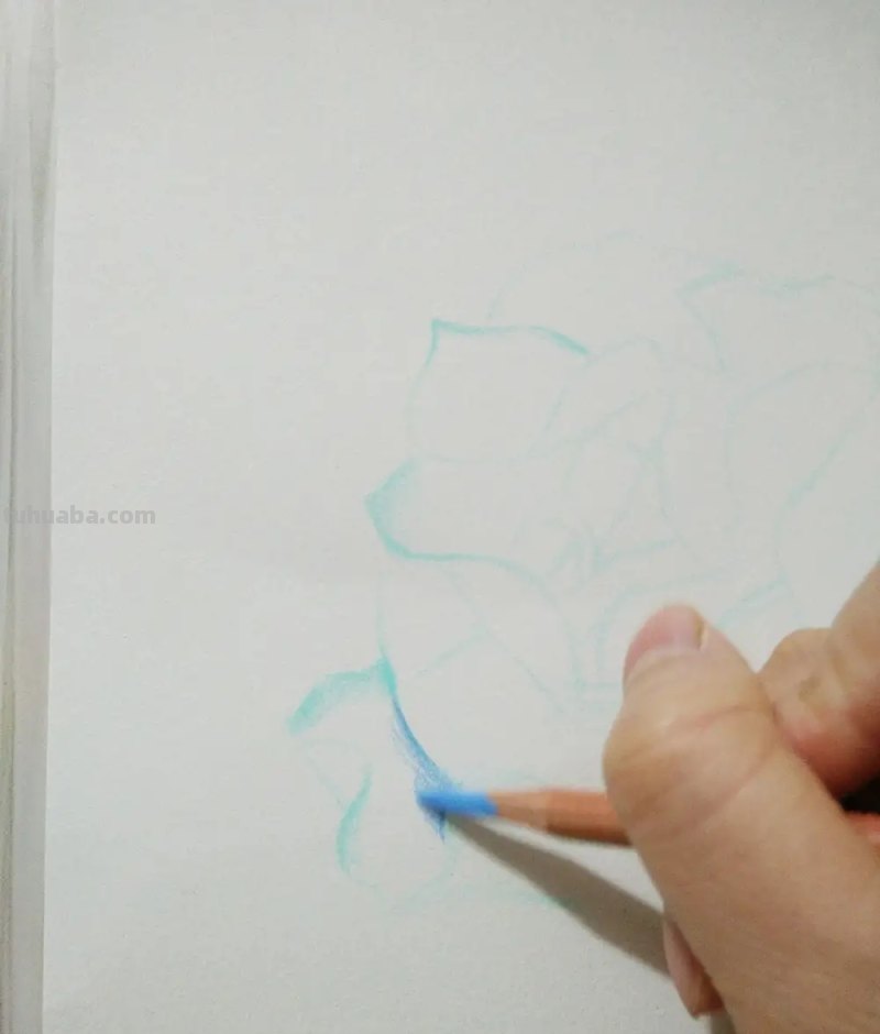 用彩铅画花深浅怎么画 4开纸荷花彩铅画？
