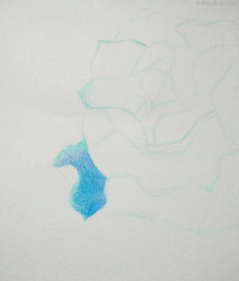 用彩铅画花深浅怎么画 4开纸荷花彩铅画？
