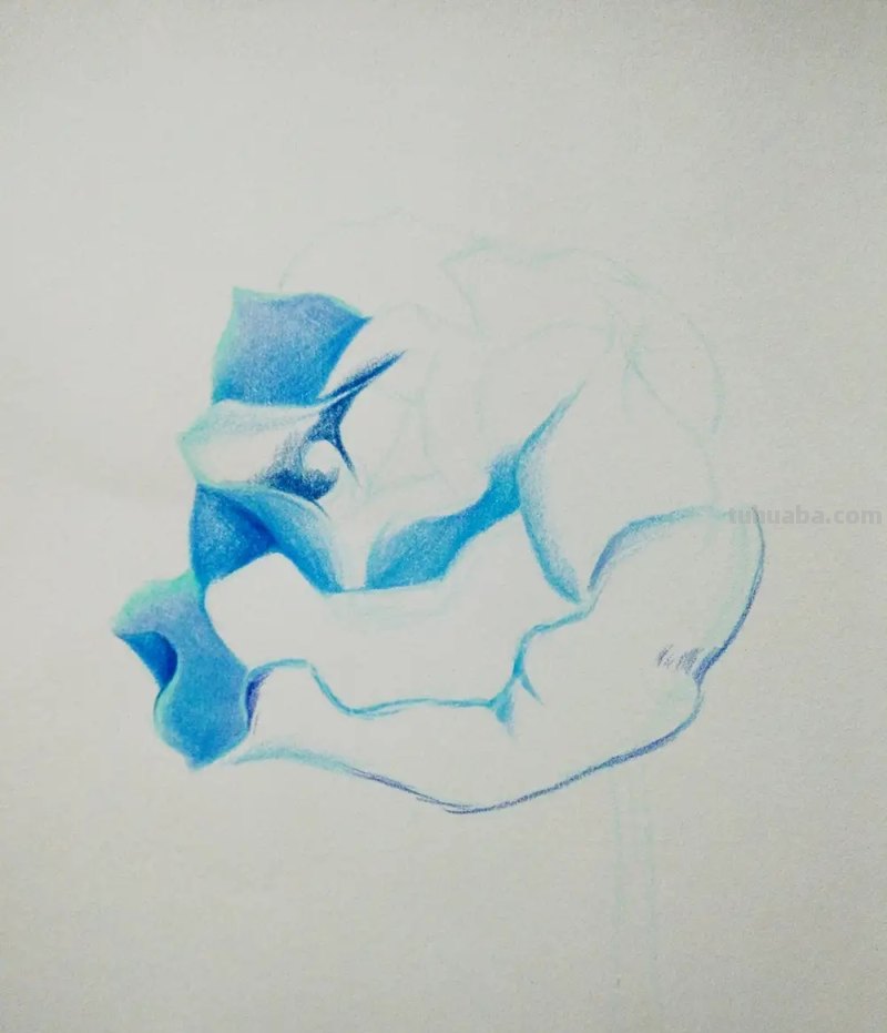 用彩铅画花深浅怎么画 4开纸荷花彩铅画？