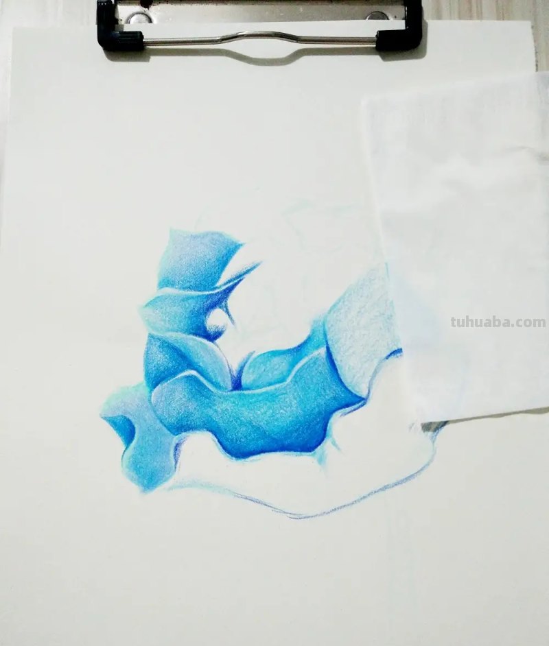 用彩铅画花深浅怎么画 4开纸荷花彩铅画？