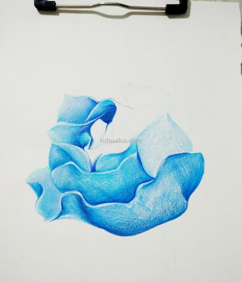 用彩铅画花深浅怎么画 4开纸荷花彩铅画？