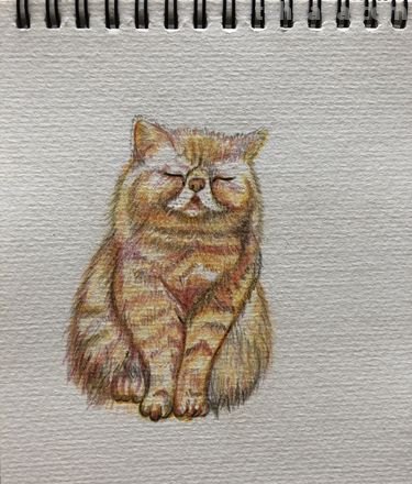 棕色彩铅：展现温暖与稳重的色彩 