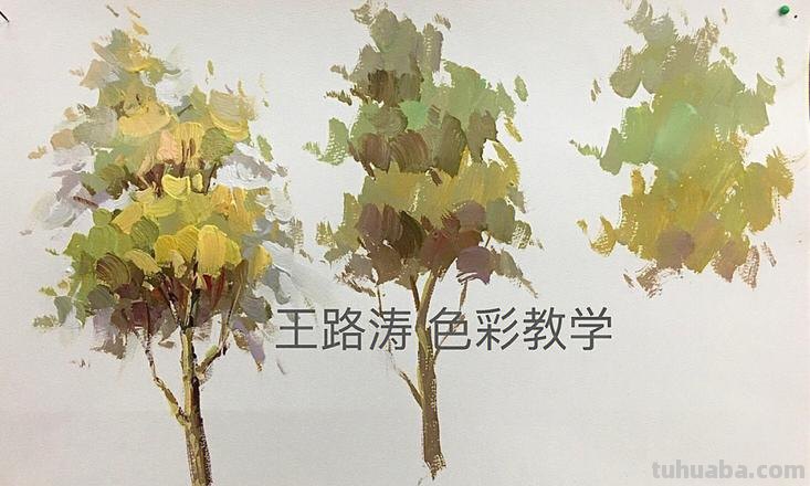 色彩树的画法及色彩树的画法步骤图 