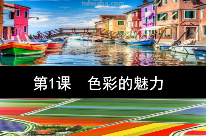 五彩斑斓的世界：探索色彩的魅力 