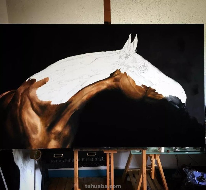 这位艺术家用彩铅画出来的马，张张都是窒息之美