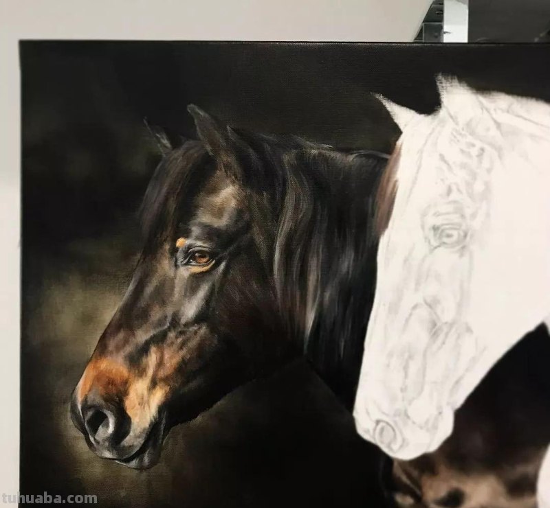 这位艺术家用彩铅画出来的马，张张都是窒息之美