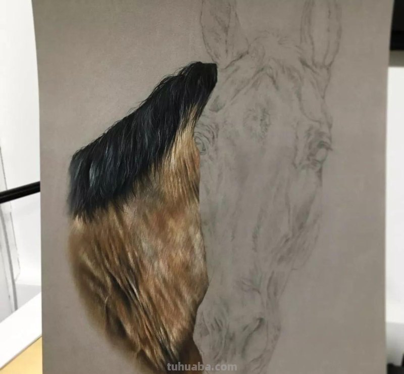 这位艺术家用彩铅画出来的马，张张都是窒息之美