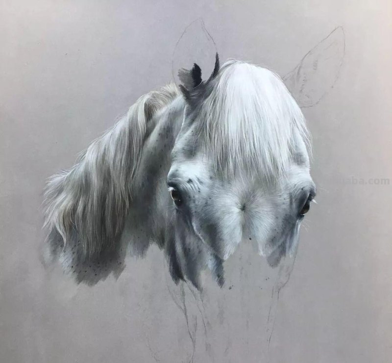 这位艺术家用彩铅画出来的马，张张都是窒息之美
