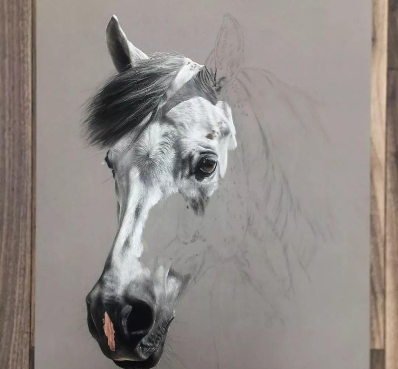 这位艺术家用彩铅画出来的马，张张都是窒息之美