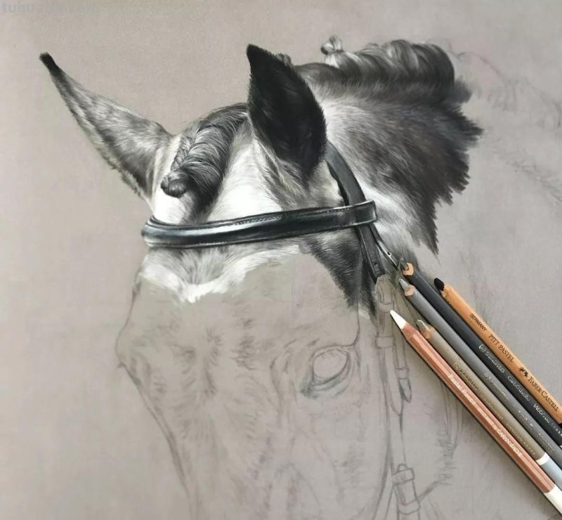 这位艺术家用彩铅画出来的马，张张都是窒息之美