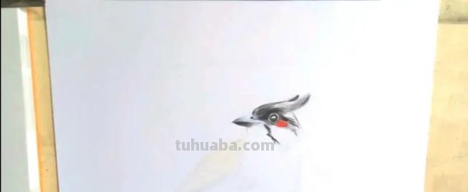用彩铅画鸟怎么画简单 鸟语花香彩铅绘画步骤？
