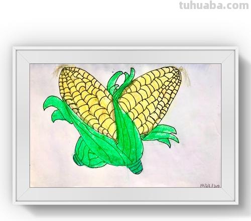 如何用色彩绘制玉米？ 