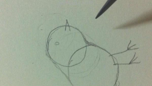 用彩铅画鸟怎么画简单 鸟语花香彩铅绘画步骤？