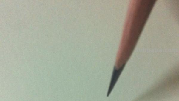 用彩铅画鸟怎么画简单 鸟语花香彩铅绘画步骤？
