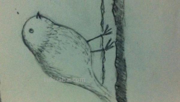 用彩铅画鸟怎么画简单 鸟语花香彩铅绘画步骤？