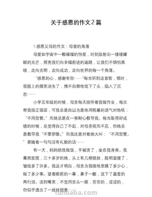 感恩命题速写 关于感恩的借物抒情的文章