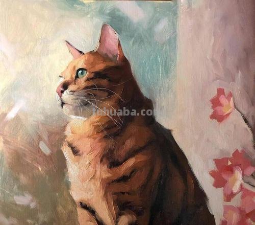 猫色彩图片及猫色彩画图片：探索猫咪世界的多彩之美 