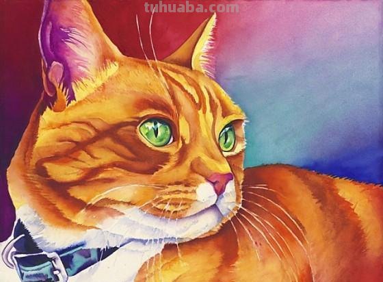 猫色彩图片及猫色彩画图片：探索猫咪世界的多彩之美 