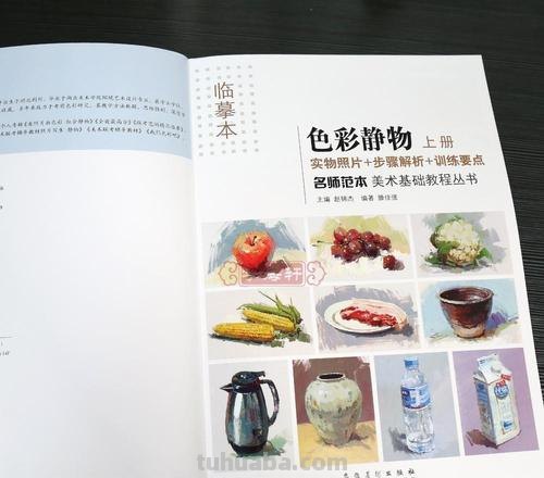 《照画不误色彩的魅力——静物绘画技法详解》 