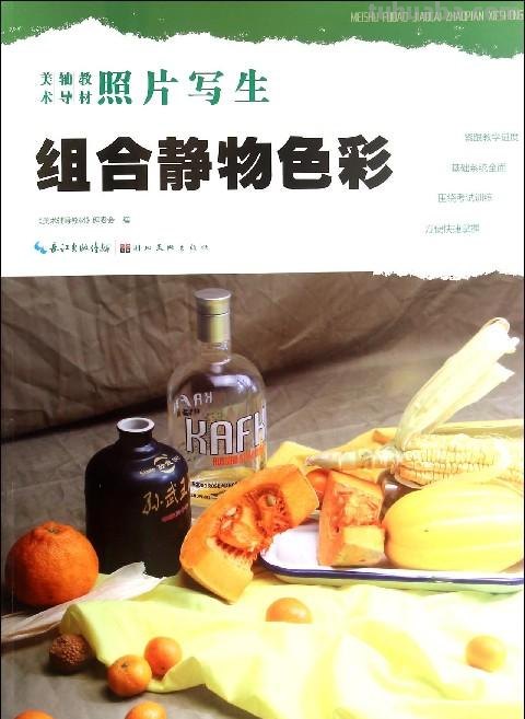 《照画不误色彩的魅力——静物绘画技法详解》 