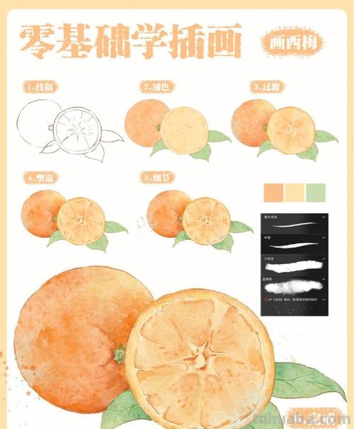 【绘画教程】如何画色彩剥开的橘子？色彩剥开的橘子的画法详解！ 