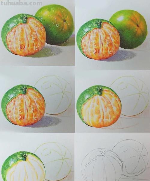 【绘画教程】如何画色彩剥开的橘子？色彩剥开的橘子的画法详解！ 