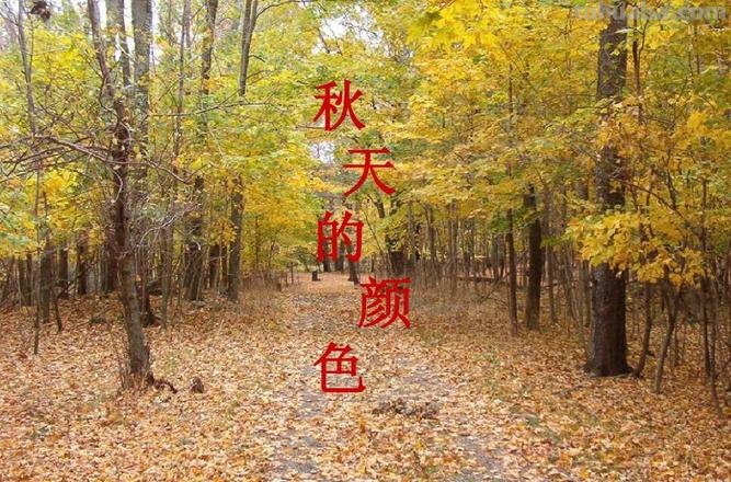 秋天的色彩有哪些及秋天的色彩有哪些句子 