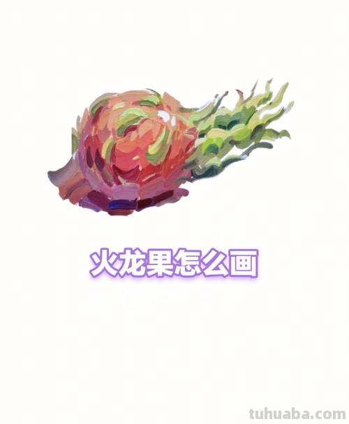 火龙果的色彩与静物美 