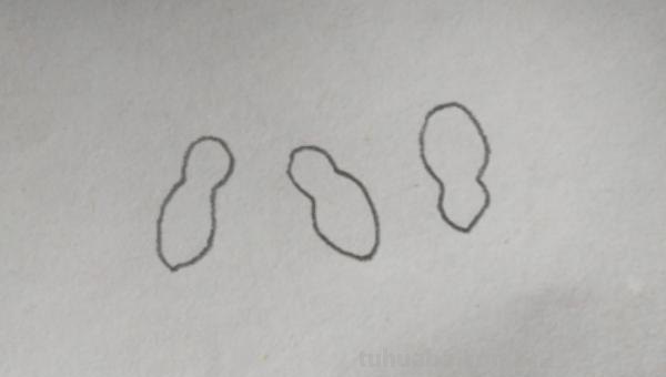 用彩铅画立体花生怎么画 【花生简笔画怎么画】花生的画法？