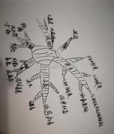 蒜苗的思维导图怎么画 怎样画思维导图？