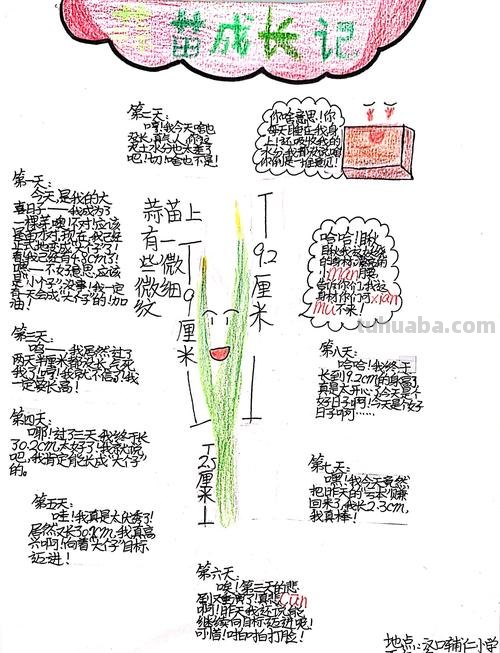 蒜苗的思维导图怎么画 怎样画思维导图？