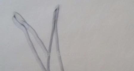 蒜苗的思维导图怎么画 怎样画思维导图？
