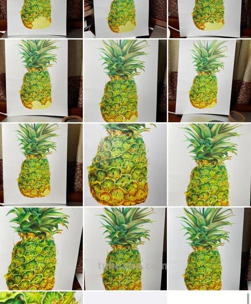 水果彩铅画教程是什么画 怎么用彩铅画立体的菠萝？